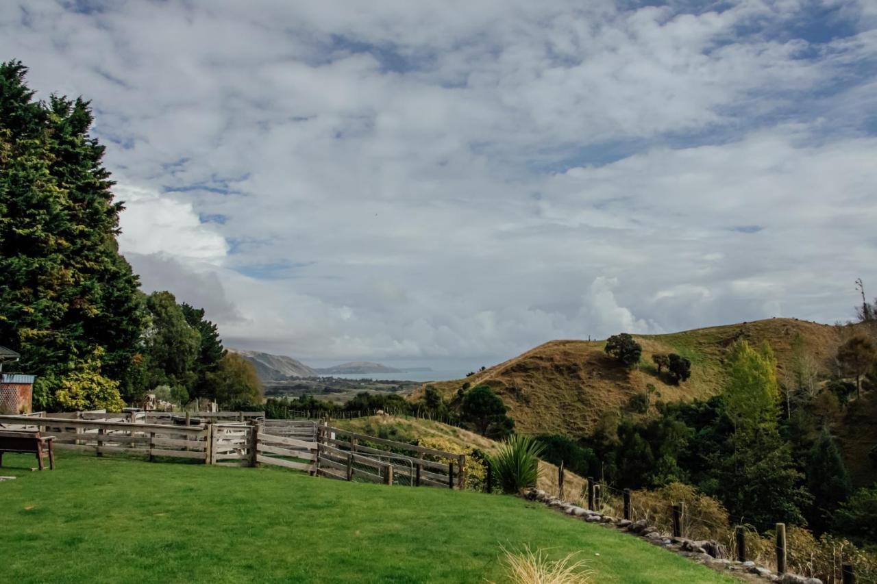 Luxury Stay, Alpaca Farm Paraparaumu Εξωτερικό φωτογραφία