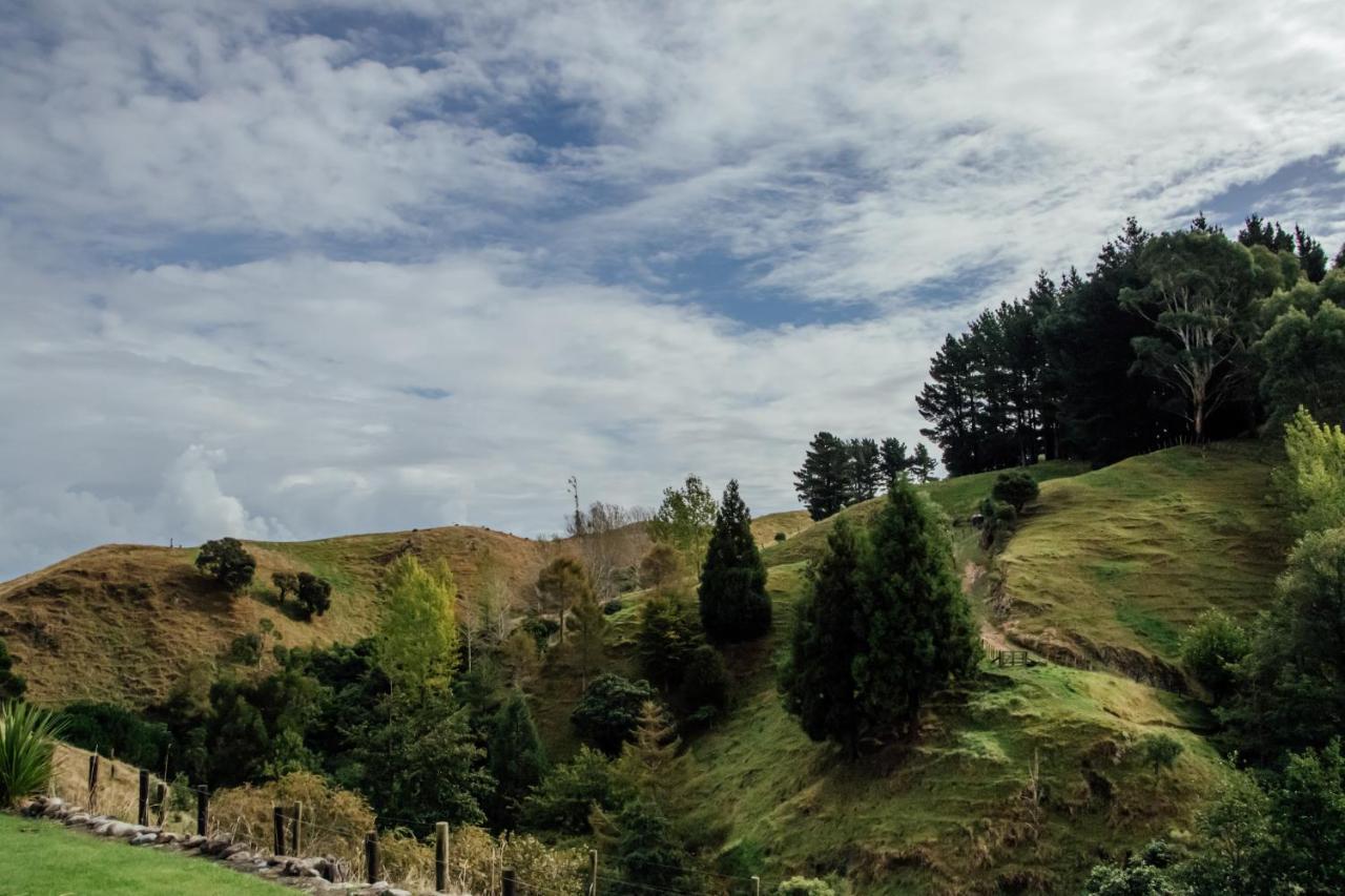 Luxury Stay, Alpaca Farm Paraparaumu Εξωτερικό φωτογραφία
