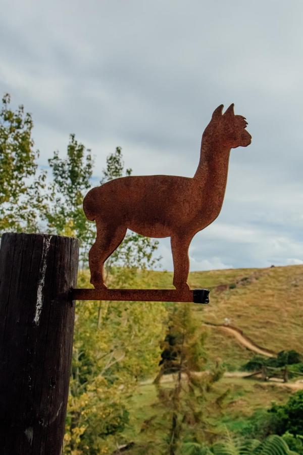 Luxury Stay, Alpaca Farm Paraparaumu Εξωτερικό φωτογραφία