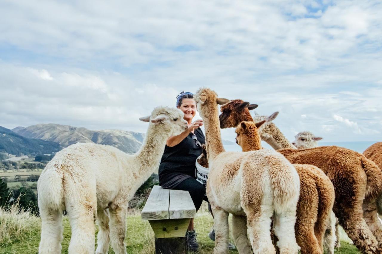 Luxury Stay, Alpaca Farm Paraparaumu Εξωτερικό φωτογραφία