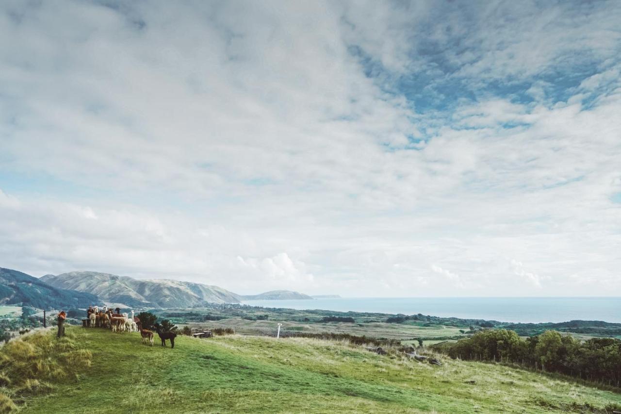 Luxury Stay, Alpaca Farm Paraparaumu Εξωτερικό φωτογραφία